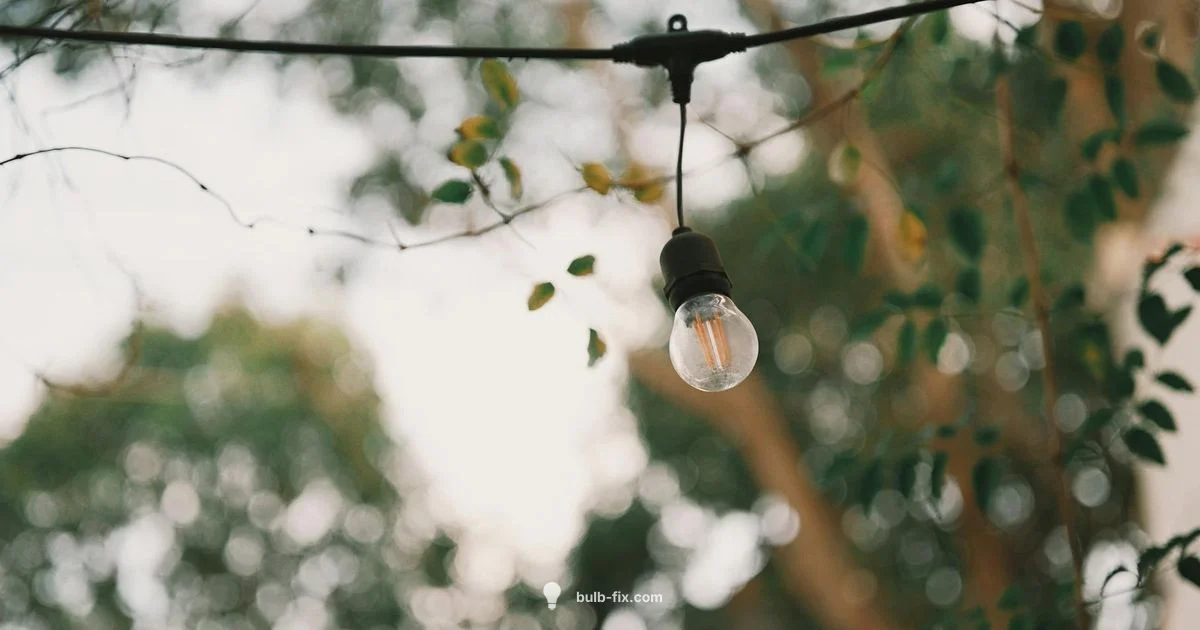 Mercury Vapor Guide - Bulb Fix