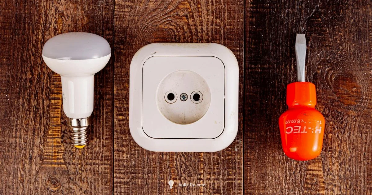 Socket Size Guide - Bulb Fix