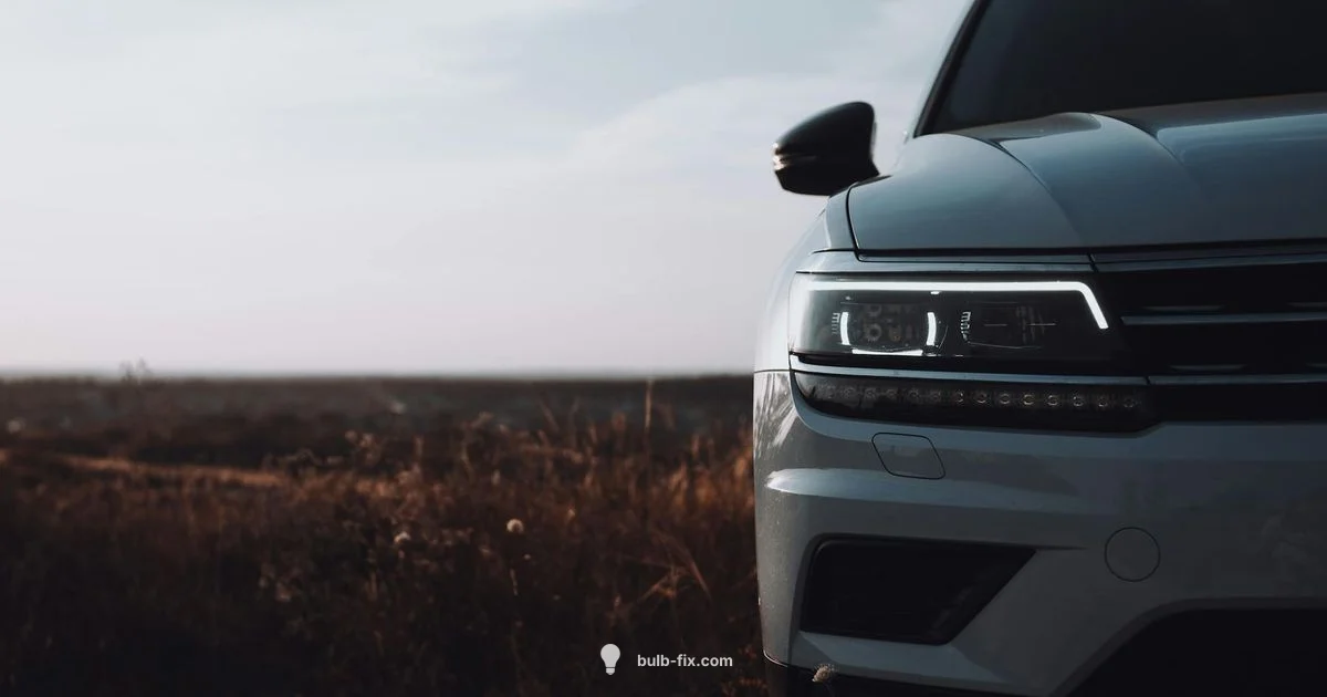 D4S Bulb Guide - Bulb Fix