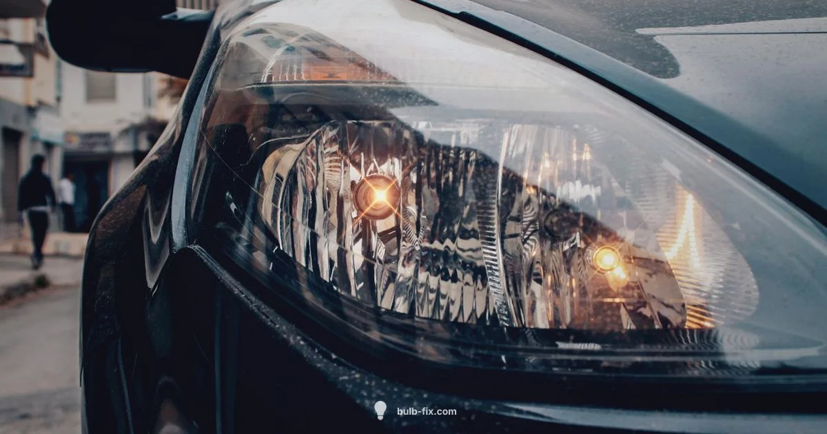 HID Bulb Essentials HID Bulb Essentials - Bulb Fix