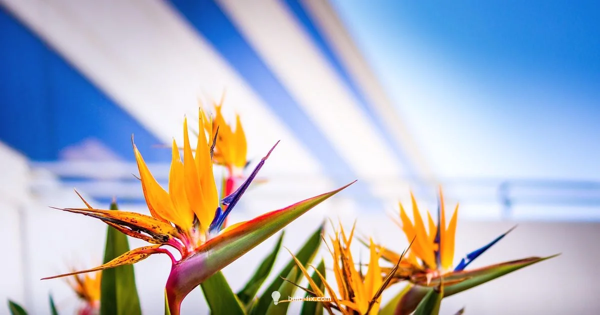 Eye-Safe Daylight Lighting - Bulb Fix