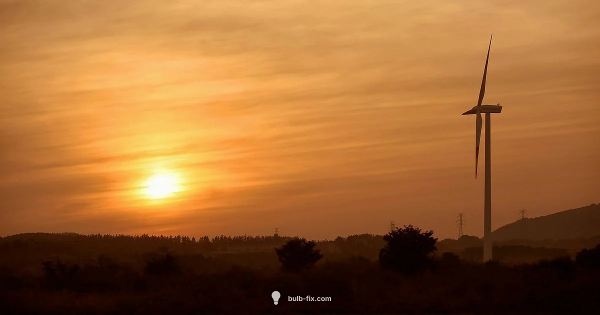 Solar Light Bulb Guide - Bulb Fix