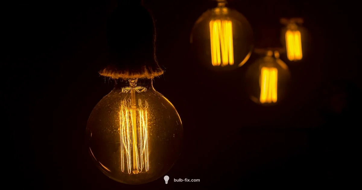 Night Light Basics Night Light Basics - Bulb Fix