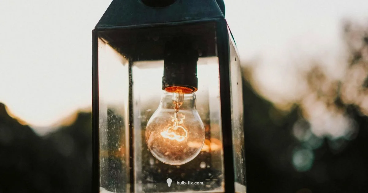 Albany Street Lighting - Bulb Fix