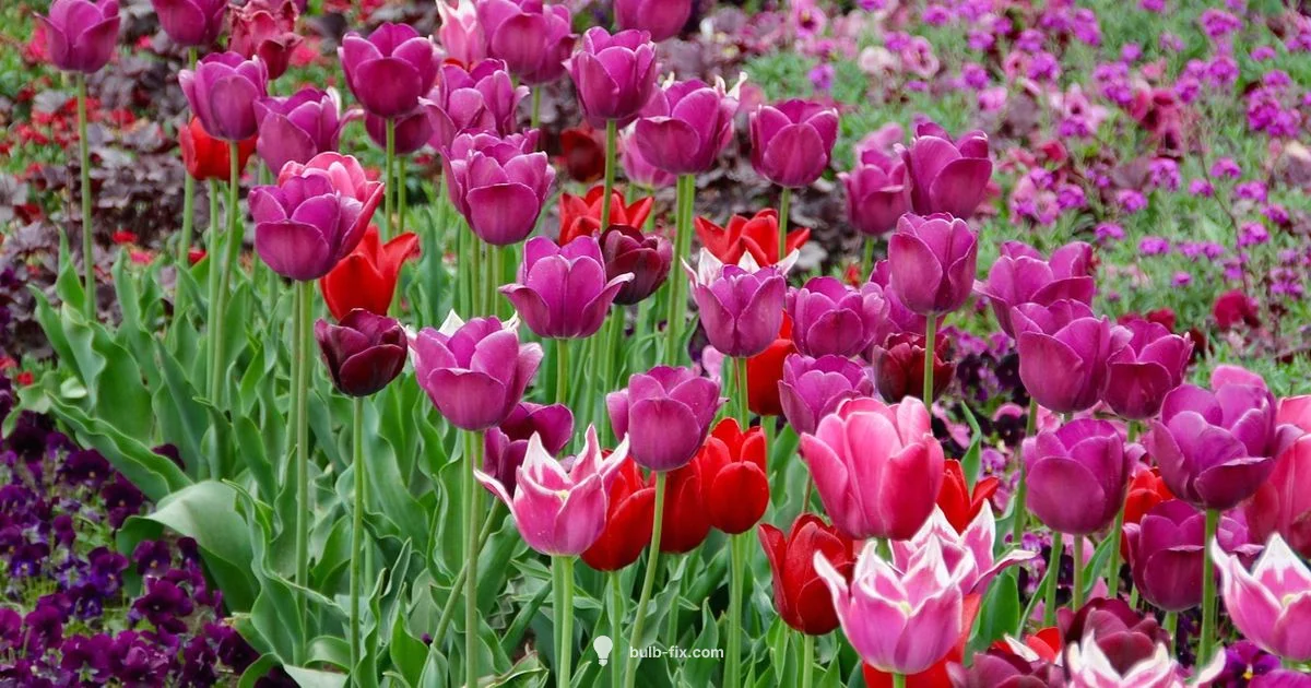 Tulip Mold Guide - Bulb Fix