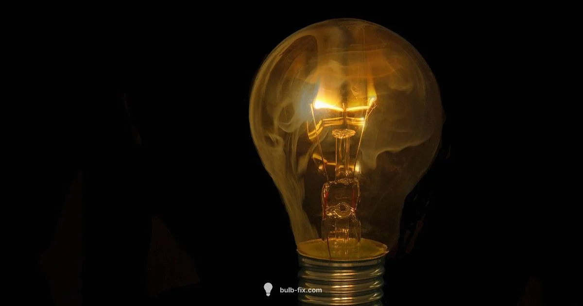 Light Bulb Size Guide - Bulb Fix