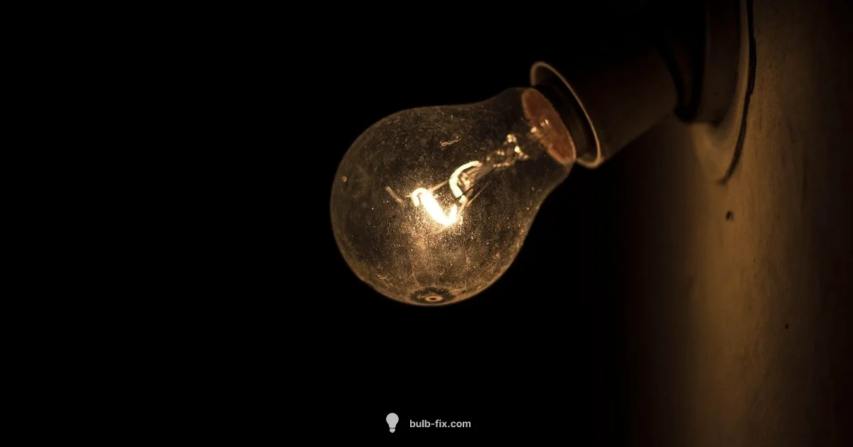 Bulb vs Lamp - Bulb Fix