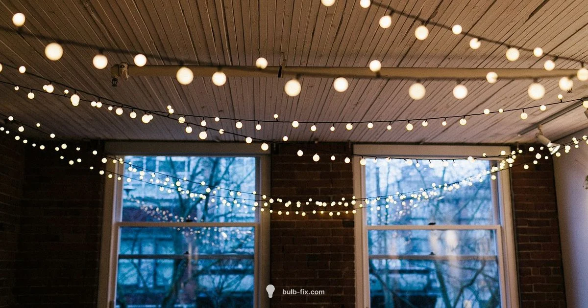 Bulb Production Overview - Bulb Fix