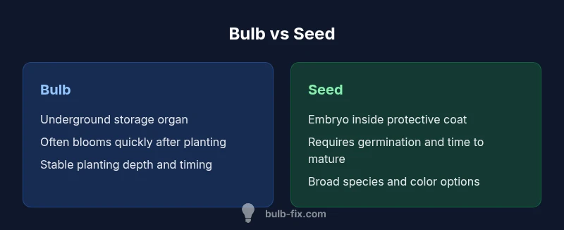 Comparison infographic showing bulbs vs seeds in a garden