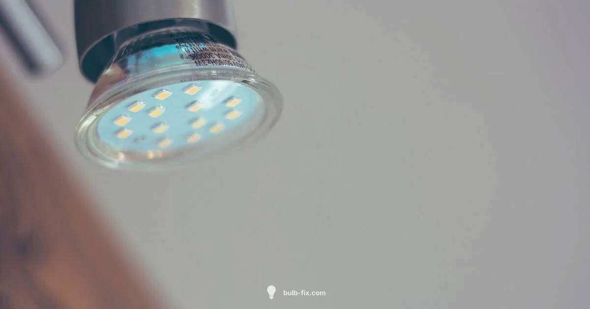 Brightest Bulbs Guide - Bulb Fix