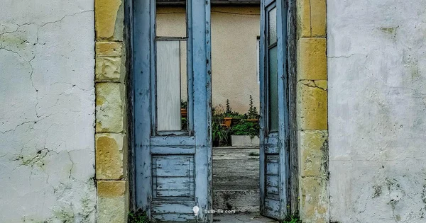 Top Porch Bulbs 2026 - Bulb Fix