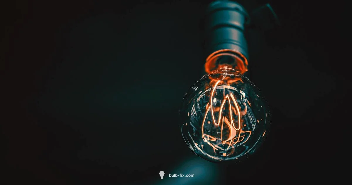 Local Bulb Shop Local Bulb Shop - Bulb Fix