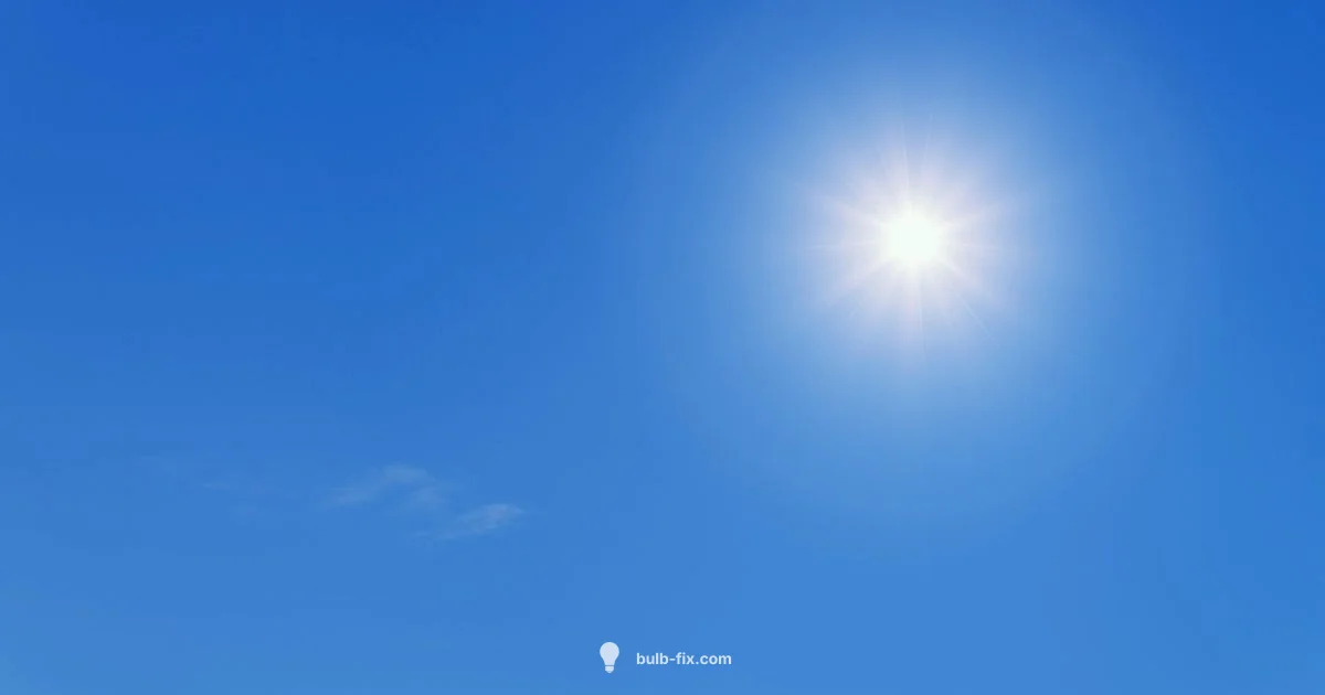 Sunlight Lamp Guide - Bulb Fix