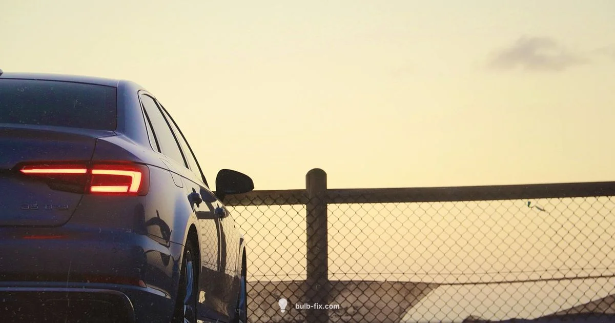 Tail Light Guide - Bulb Fix