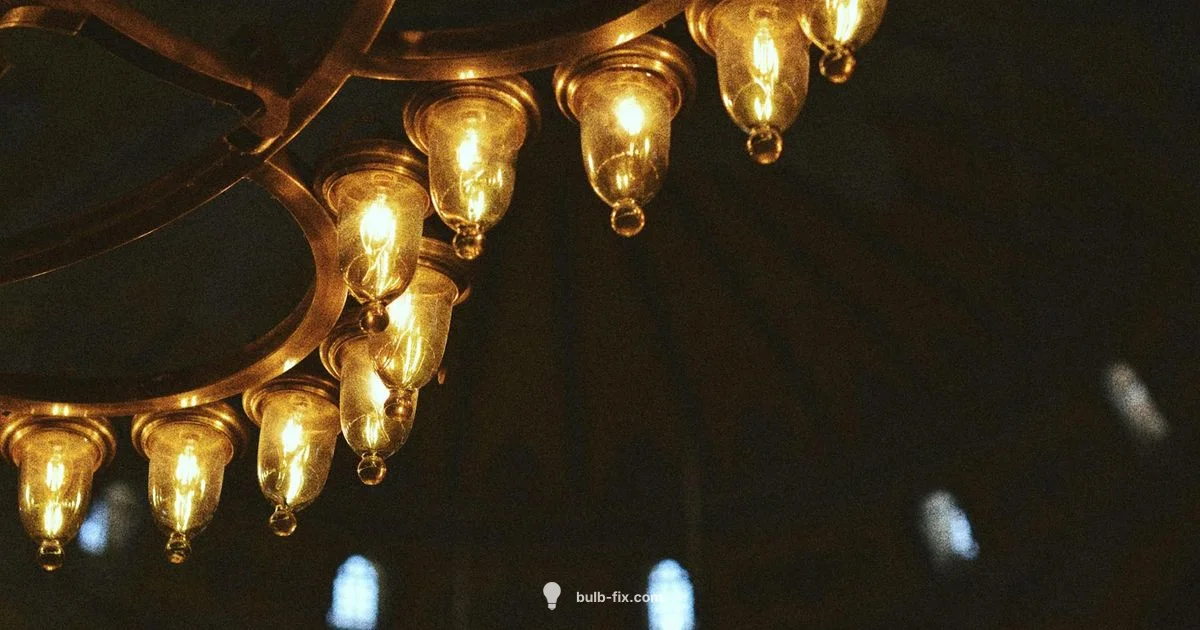 Identify Bulb Bases - Bulb Fix