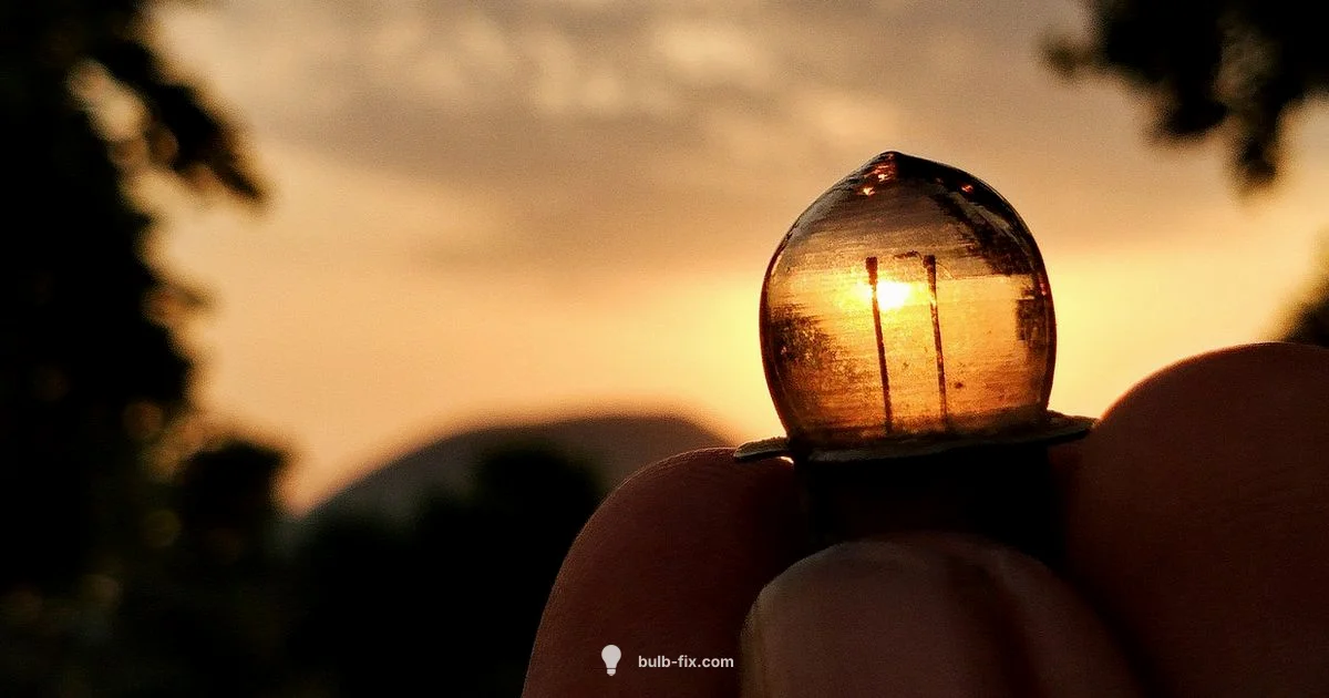 Safe Bulb Storage - Bulb Fix