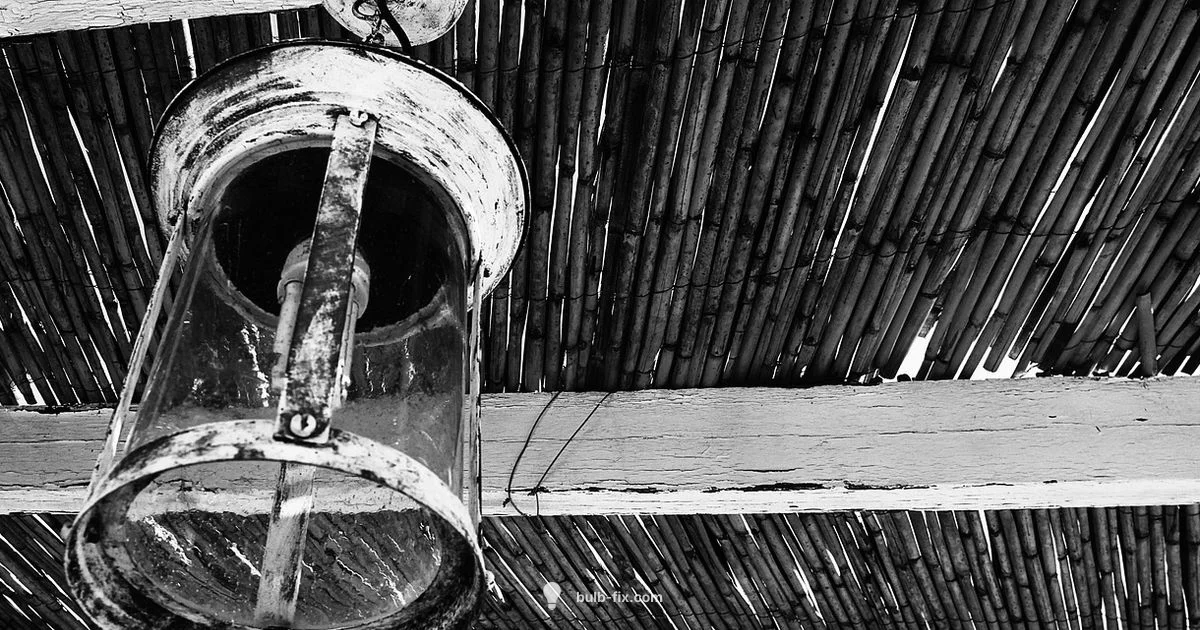 Halogen Bulb Guide - Bulb Fix