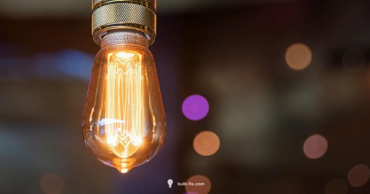 Type B 15W Guide - Bulb Fix