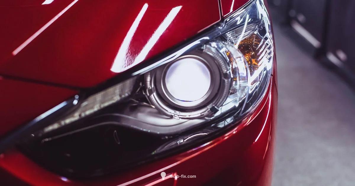 Car Bulb Guide - Bulb Fix