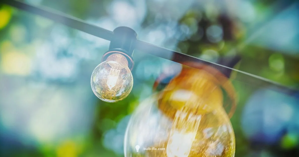 Light Bulb Drawing - Bulb Fix