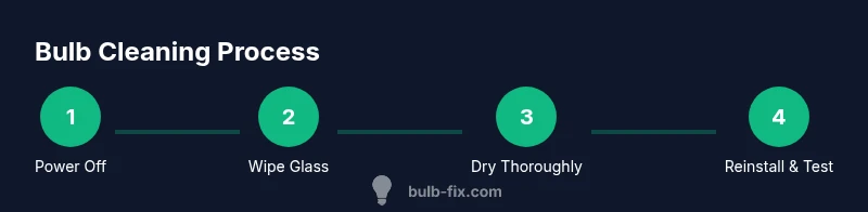Infographic showing a four-step bulb cleaning process.