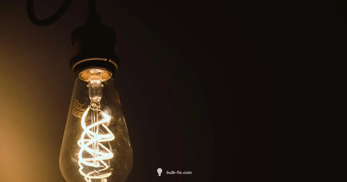 Identify bulb size - Bulb Fix