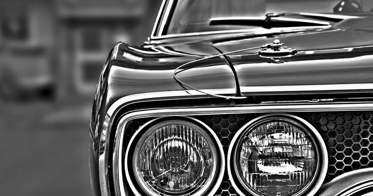 Right Headlight Bulb - Bulb Fix