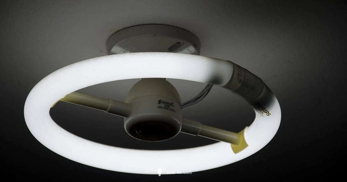 Fluorescent Lighting Basics - Bulb Fix