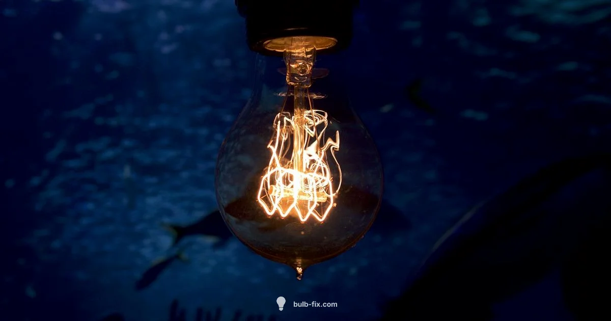 Bulb Basics - Bulb Fix