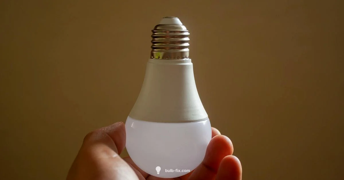 Rechargeable Bulb Guide - Bulb Fix