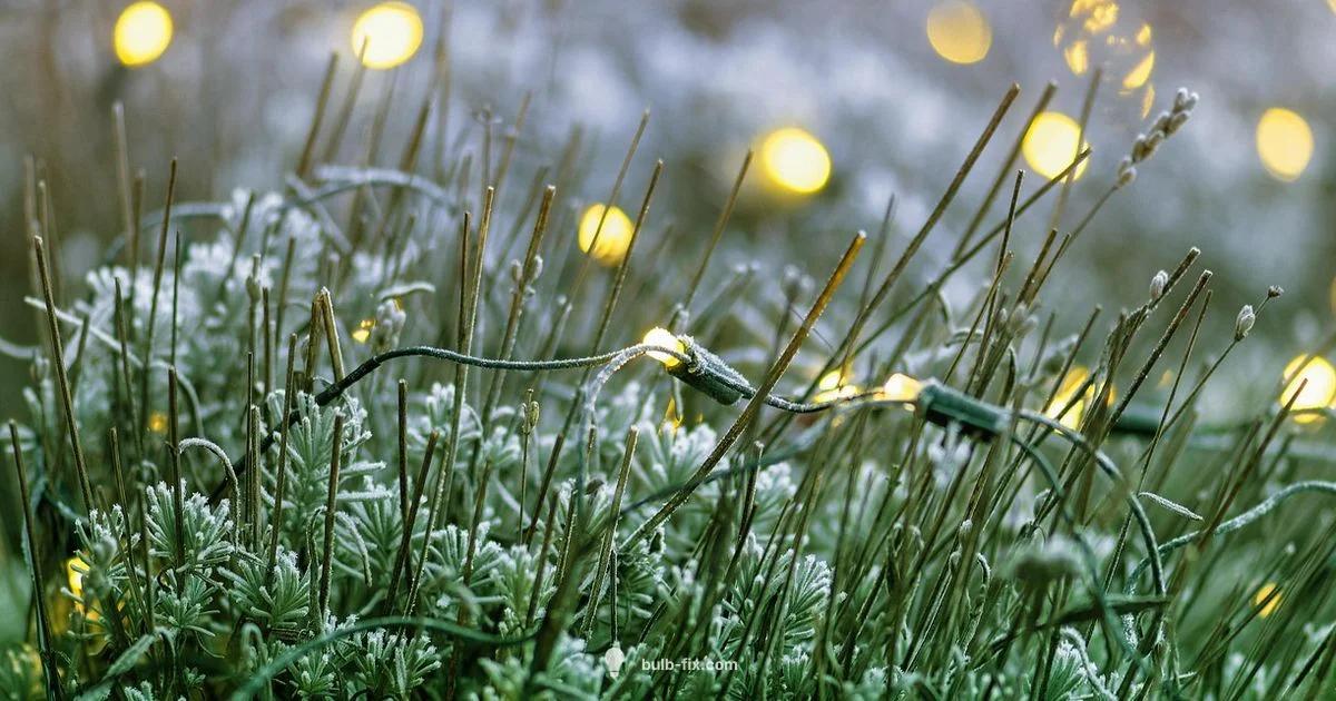 LED Upgrade - Bulb Fix