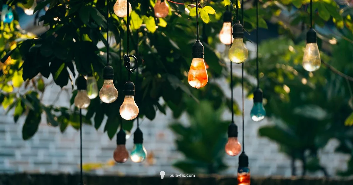 Storage Guide - Bulb Fix