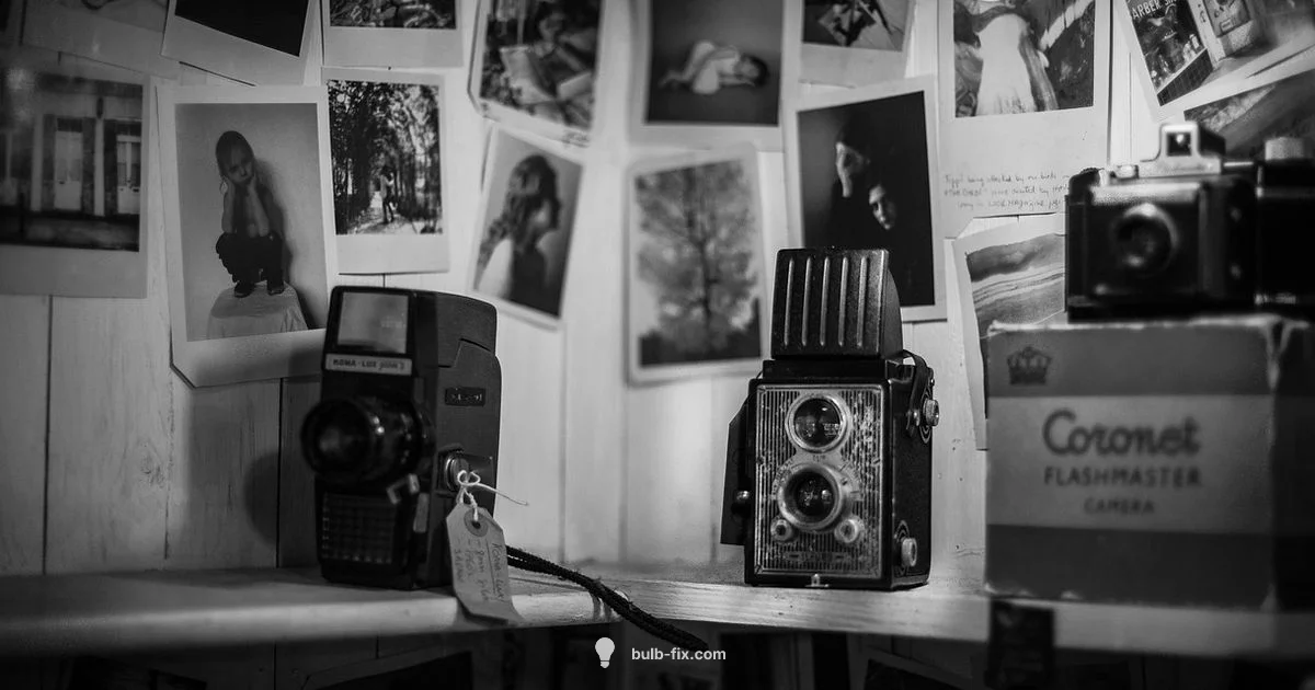 Bulb Camera Guide - Bulb Fix