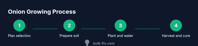 Process infographic showing onion growing steps