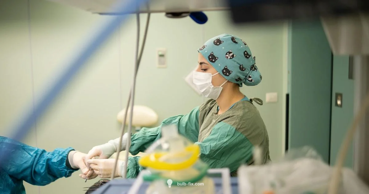 Foley Bulb Induction - Bulb Fix