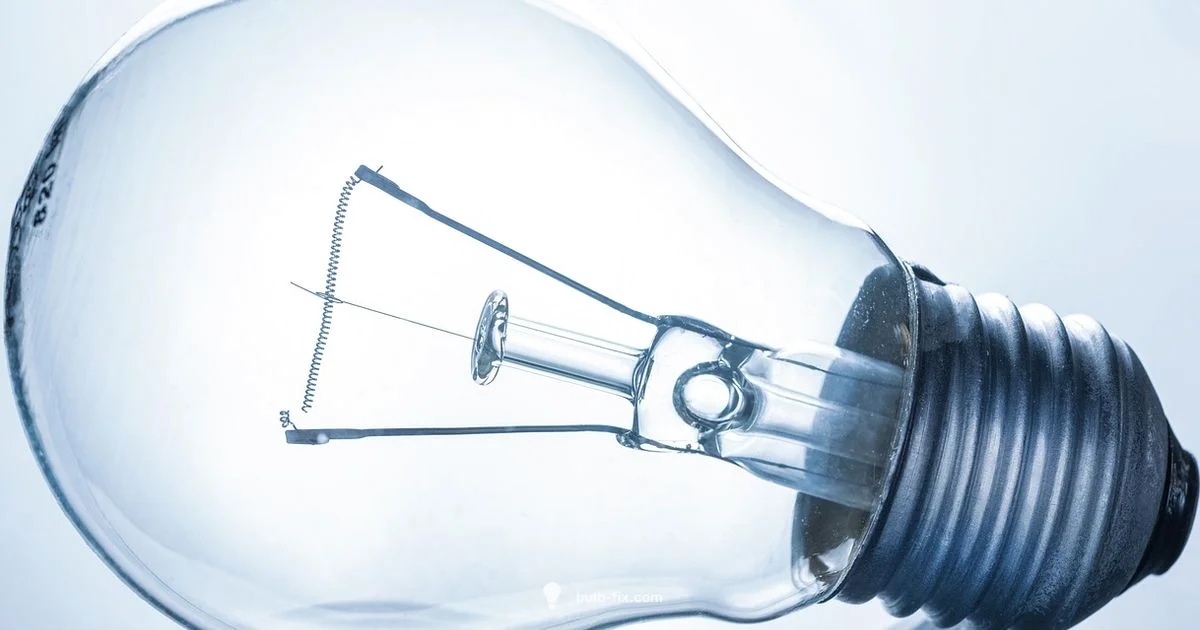 Long Bulb Removal - Bulb Fix