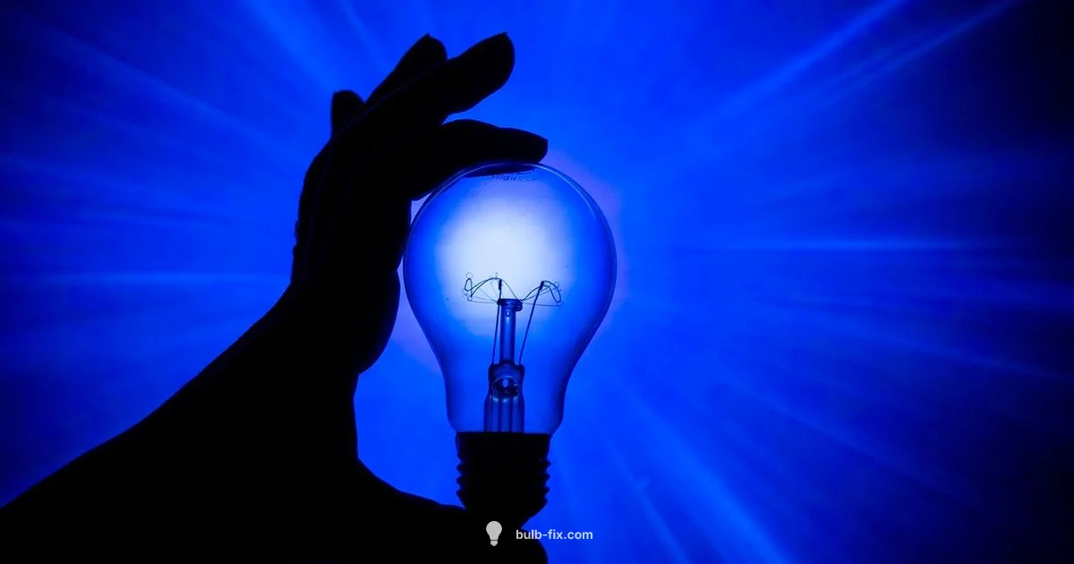 What bulb do i need What bulb do i need - Bulb Fix