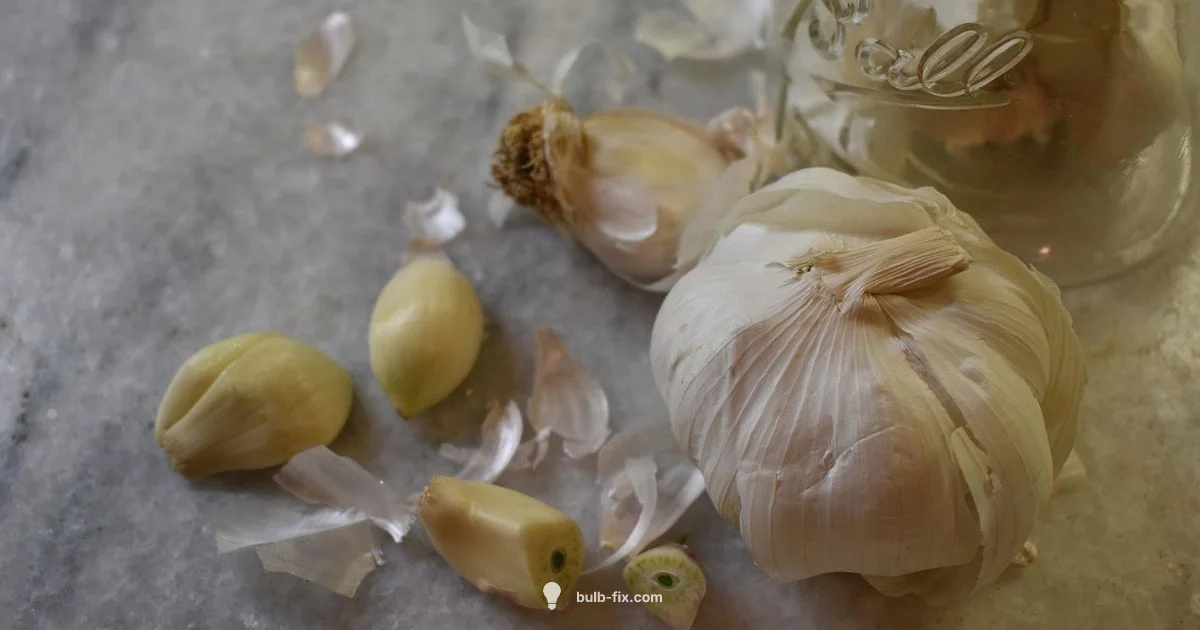Garlic Bulbs vs Cloves Garlic Bulbs vs Cloves - Bulb Fix