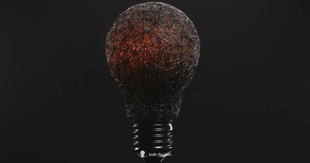 Bulb Aspirator Guide - Bulb Fix