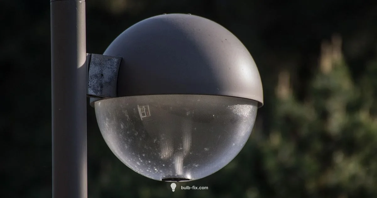 Sun Lamp Guide Sun Lamp Guide - Bulb Fix