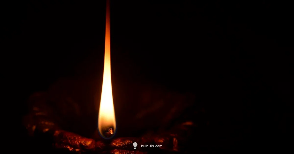 Lamp vs Light - Bulb Fix