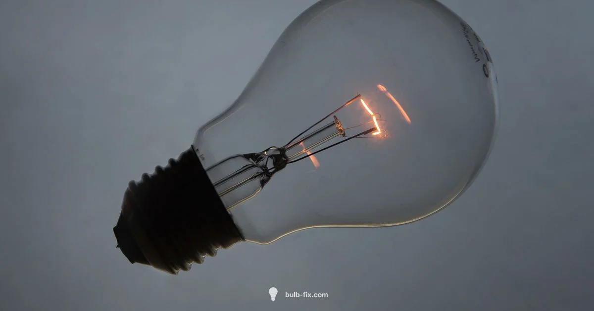 Bulb vs Bulbil Bulb vs Bulbil - Bulb Fix