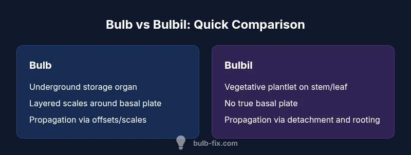 Infographic comparing bulb and bulbil