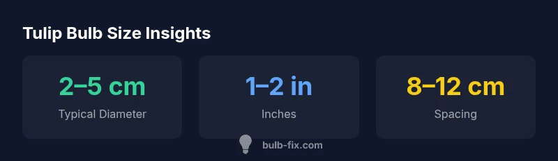 Infographic showing the typical size ranges and planting spacing for tulip bulbs