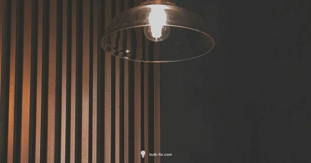 PAR30 Lighting Guide - Bulb Fix