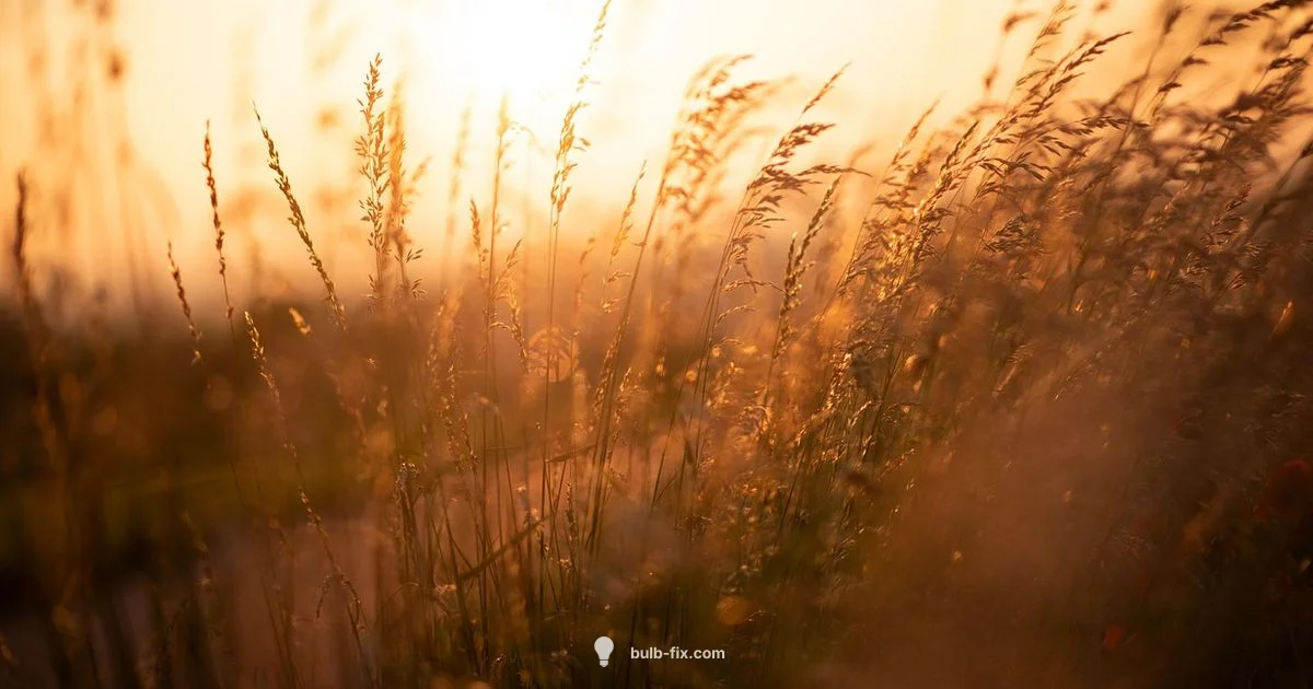 Bulbasaur Guide - Bulb Fix