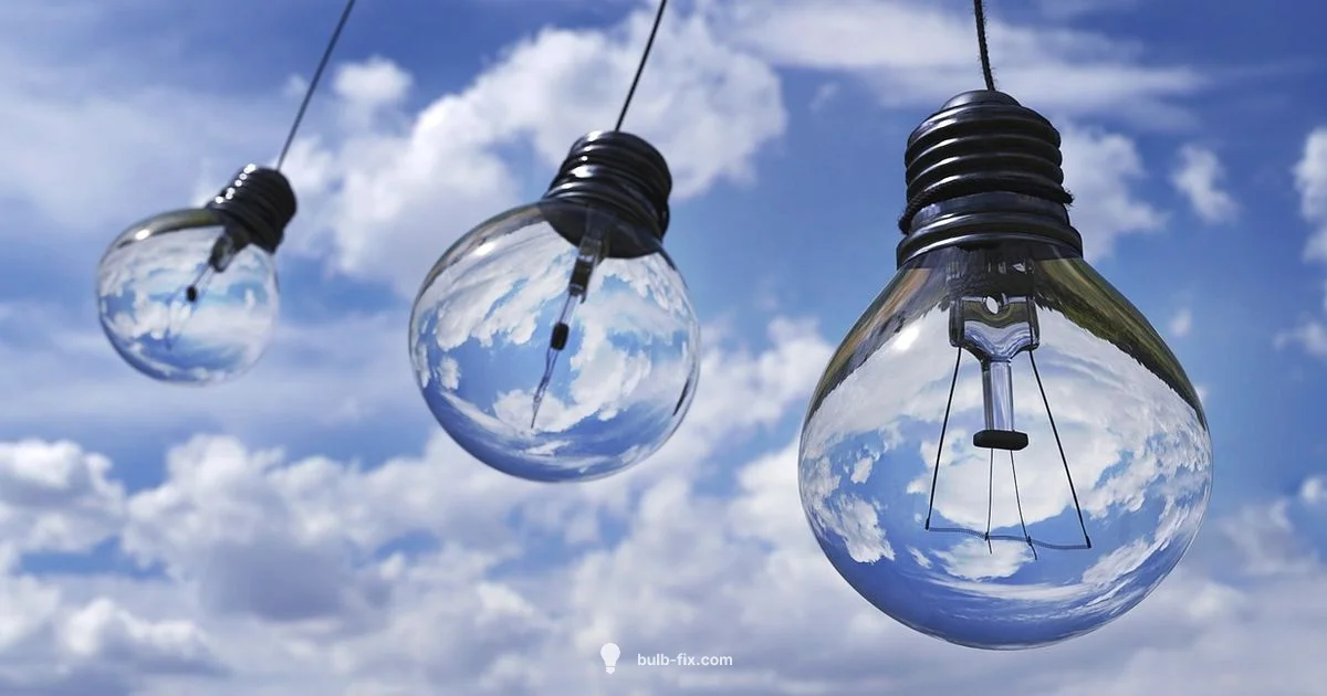 Bulb Duster Guide Bulb Duster Guide - Bulb Fix