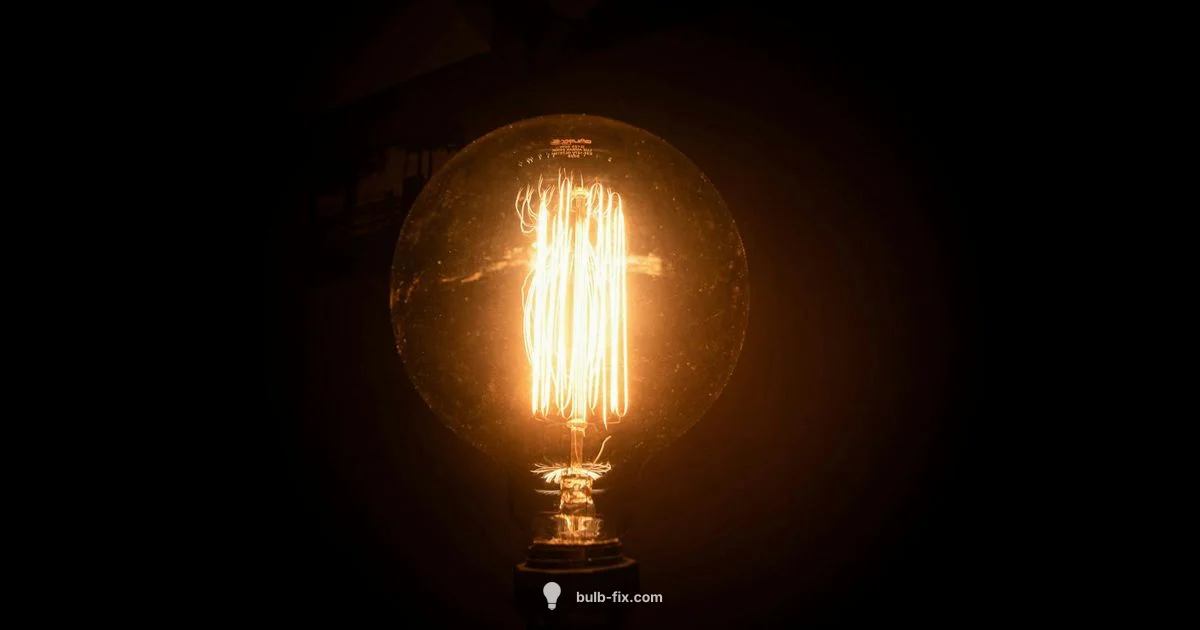 Type B Bulb Basics Type B Bulb Basics - Bulb Fix