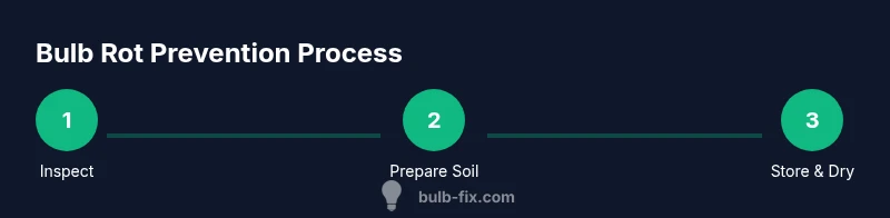 Process infographic showing steps to prevent bulb rot