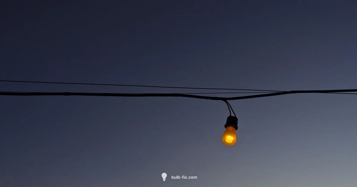 Blue Light Health Blue Light Health - Bulb Fix